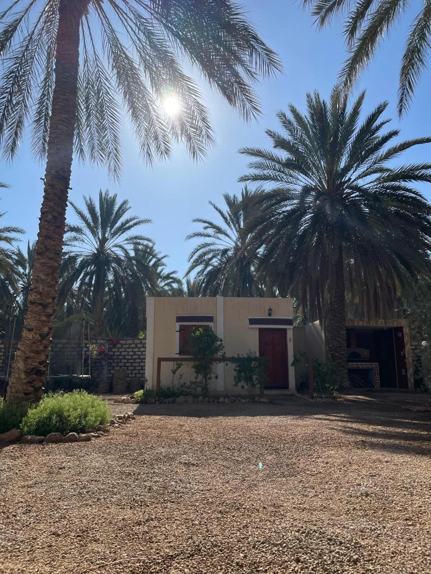 Отель Dar Barka Kebili Экстерьер фото